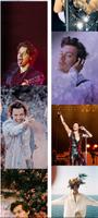 Harry Styles - Fan Images скриншот 3