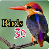 Birds 3D icône