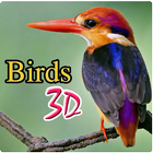 Icona Birds 3D