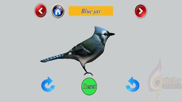 Birds 3D capture d'écran 1