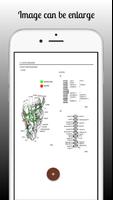 Car Electrical Wiring Diagram скриншот 3