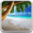 ”Tropical Beach Live Wallpaper