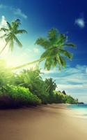 Tropical Beach Live Wallpaper screenshot 3