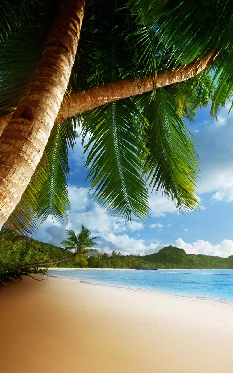Android용 Tropical Beach Live Wallpaper APK 다운로드 Android용 Tropical Beach Live Wallpaper APK 다운로드