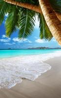 Tropical Beach Live Wallpaper ภาพหน้าจอ 1