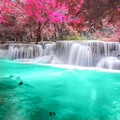 ”Tropical Live Wallpaper