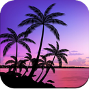 Tropical Wallpaper 4K APK