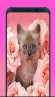 Cats wallpapers 截圖 2