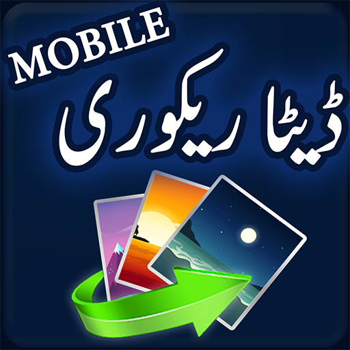 Data Recovery Mobile Phone Memory