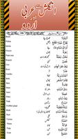 Arabic To English Learn to Speak capture d'écran 3