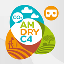 LIFE - AMDRYC4 APK