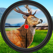 Deer Jungle Hunting Game 2024
