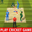 ”Play World Cricket Games