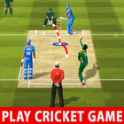 Indian Cricket Match Game 3D icon