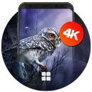 Owl Wallpapers | Ultra HD Quality APK