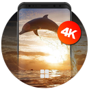 Dolphin Wallpapers | Ultra HD Quality APK