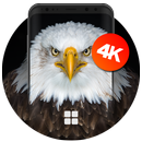 Eagle Wallpapers | Ultra HD Quality APK