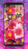 پوستر Flower Wallpapers | Ultra HD Quality