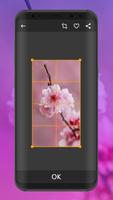 Flower Wallpapers | Ultra HD Quality স্ক্রিনশট 1