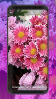 برنامه‌نما Flower Wallpapers | Ultra HD Quality عکس از صفحه