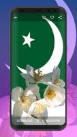 Pakistan Flag Wallpapers Ekran Görüntüsü 3