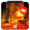 Autumn Wallpapers | UHD 4K Wallpapers