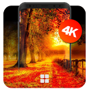 Autumn Wallpapers | UHD 4K Wallpapers APK