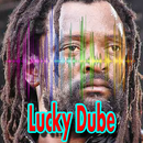 All Songs Lucky Dube Lyrics Without Internet APK