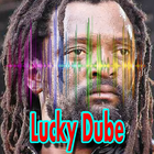 All Songs Lucky Dube Lyrics Without Internet icono