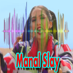 Musique Manal: Slay Sans Internet