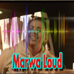 Music Marwa Loud  Sans Internet