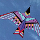 Uniek Flyover-ontwerp-APK