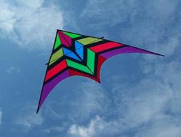 Design Unique Kite Flying Idea ภาพหน้าจอ 1