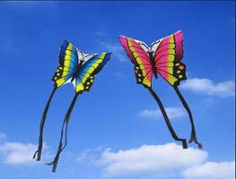 Design Unique Kite Flying Idea স্ক্রিনশট 3
