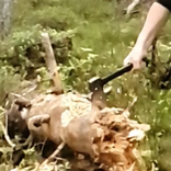 Teemu's WoodChoppingSimulator2