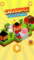 Crosspix Block Mania Affiche