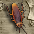 Aplasta Cucarachas ícone