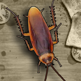 Crush Cockroaches icon