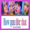 Lagu How You Like That - Blackpink Offline Lyrics APK