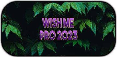 Wish Me 2023 স্ক্রিনশট 2