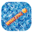 Wish You Pro icon