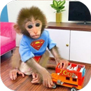 Bibi The Monkey APK