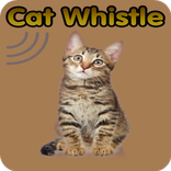 Cat Whistle, Trainer