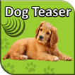 Dog Teaser