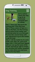 Dog Training screenshot 6