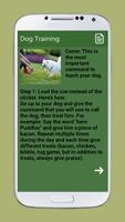 Dog Training screenshot 2