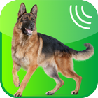 Dog Whistle, Trainer أيقونة