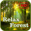 Relax Forest ไอคอน