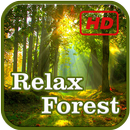 Relax Forest APK