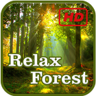 Relax Forest icon